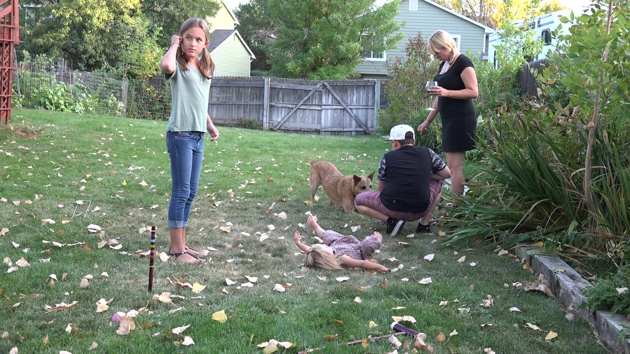 In a Westminster, Colorado backyard, a girl stands near the camera while a younger child lies on the grass and adults gather near a tan dog by the shrubs.
