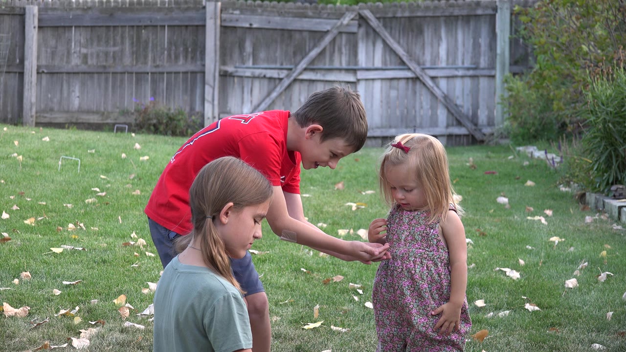 In Westminster, Colorado, three children stand and sit on a grassy backyard lawn while a gray wooden fence fills the background.