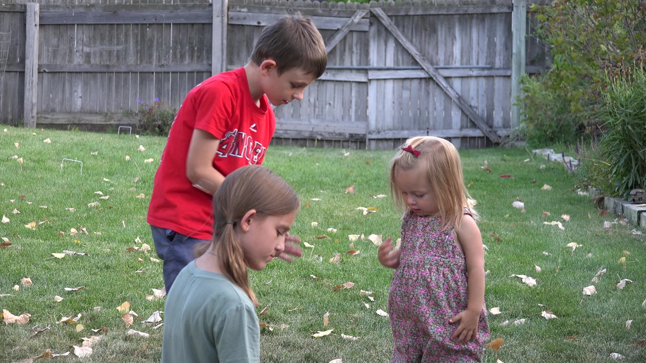 Children gather on a lawn near a wooden fence.