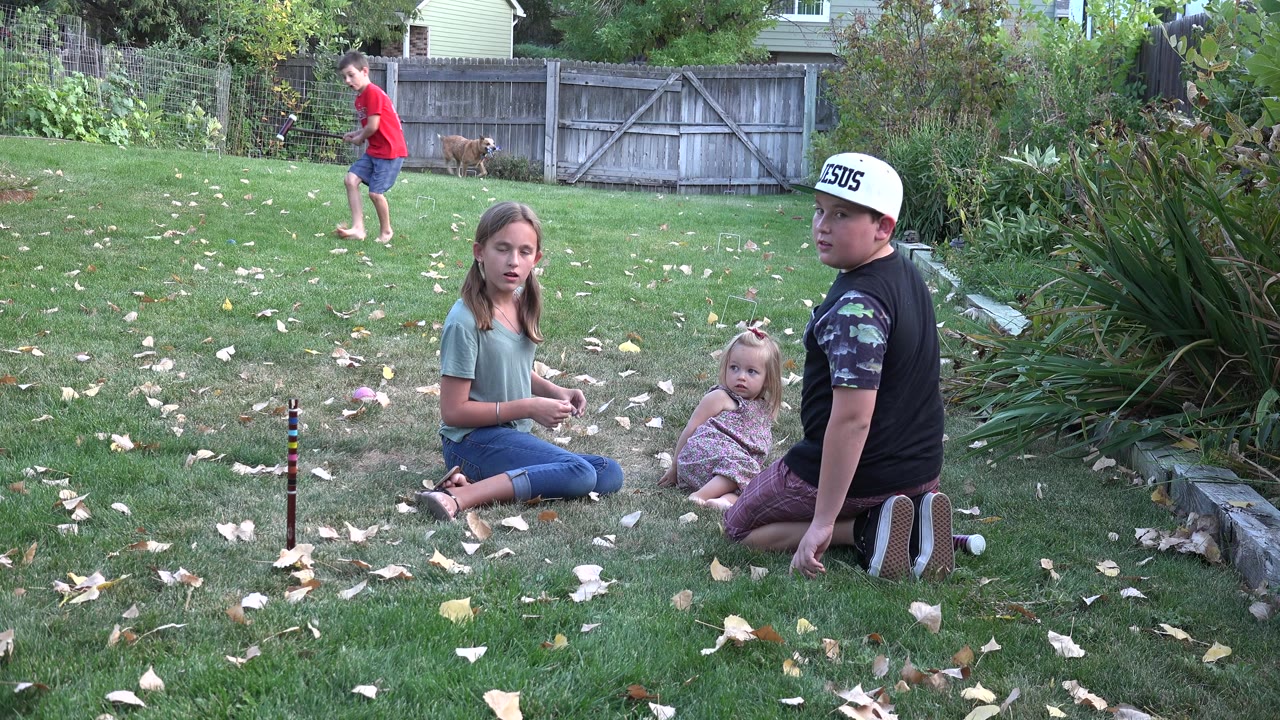 In Westminster, Colorado, the seated children remain near the foreground toy as the child in red moves across the yard and the dog follows along near the wooden fence.