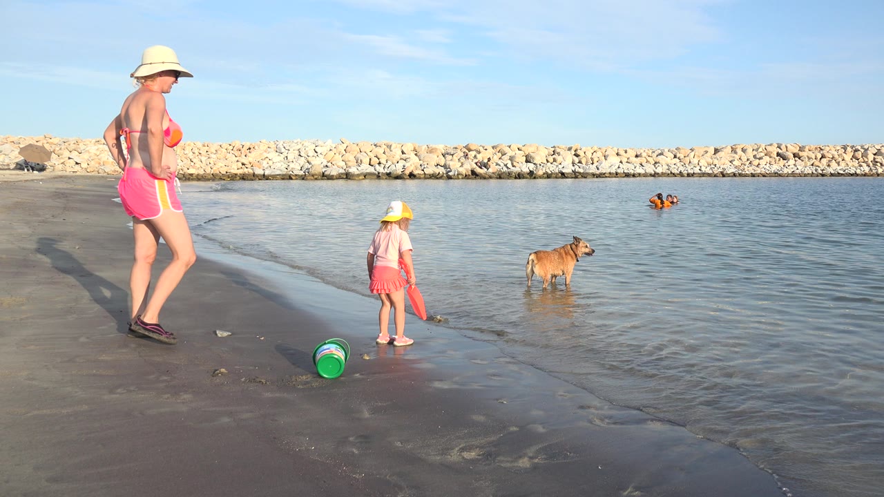 In Grand Junction, Colorado, a woman in pink shorts and a sun hat stands on wet sand as a child holds a beach toy and a brown dog wades near the shoreline.