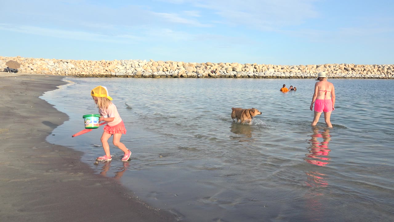 Child with bucket near shoreline, dog in shallow water, and woman standing near surf.