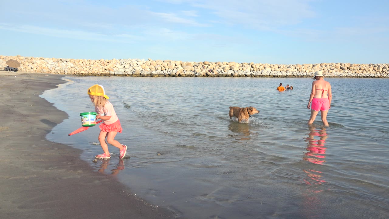 In Grand Junction Colorado, the child with the bucket moves along the shoreline as the dog stands in the water and the woman remains farther right near the surf.