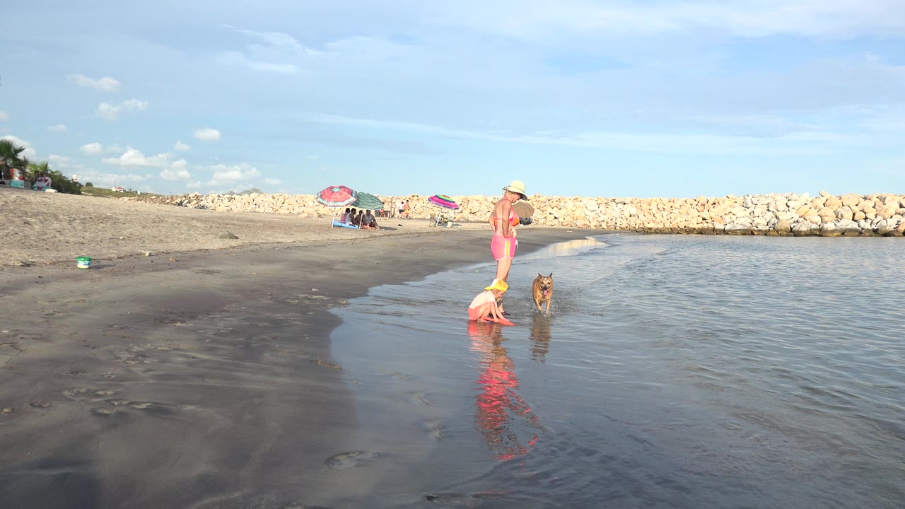Small brown dog near shallow water beside an adult on a sandy shoreline.