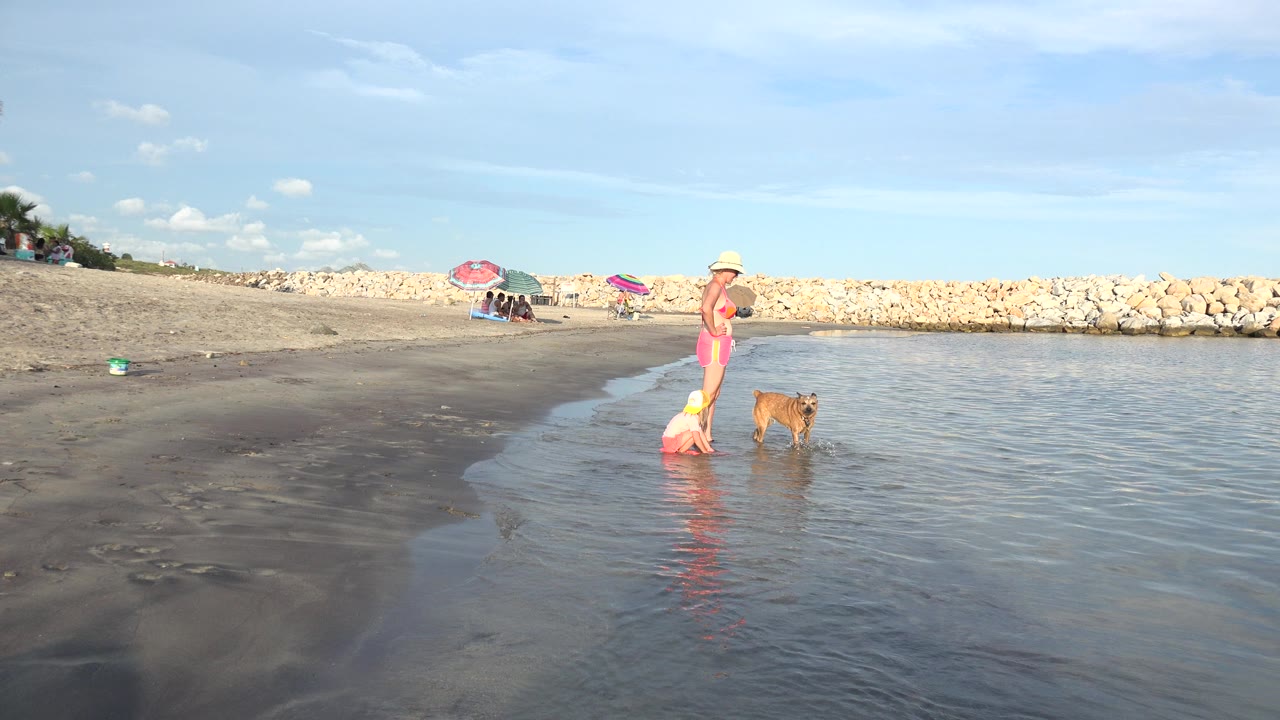 Two young girls and a small dog at the edge of shallow beach water.