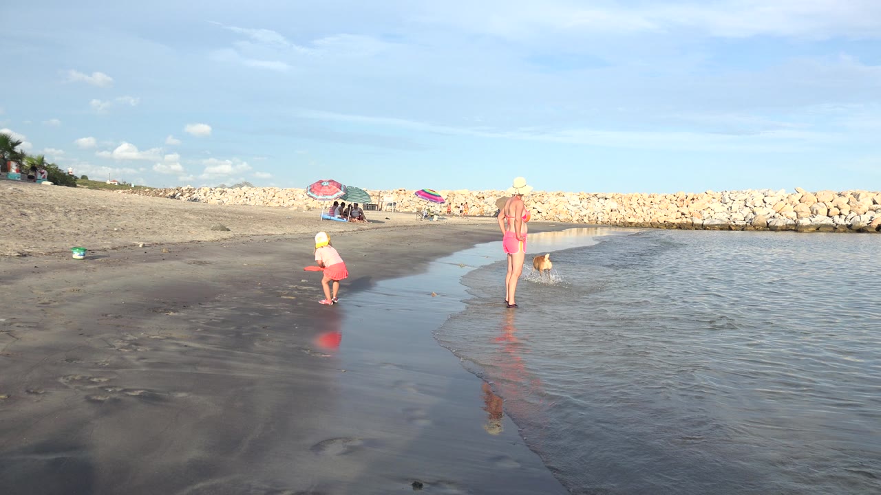 Woman stands ankle-deep while a child plays farther left and a dog moves near the water.