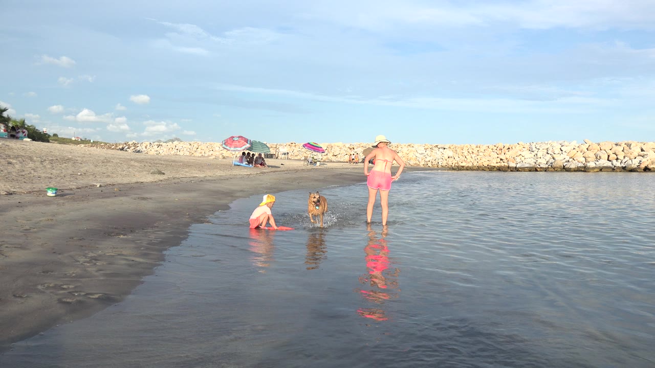 Brown dog near a child and woman at the edge of shallow beach water.