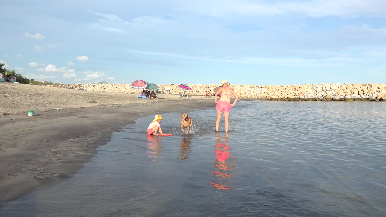 At 0:01 in Grand Junction, Colorado, the brown dog is closer to center frame as the child sits at the water's edge and the woman stands nearby with rocks and umbrellas behind them.
