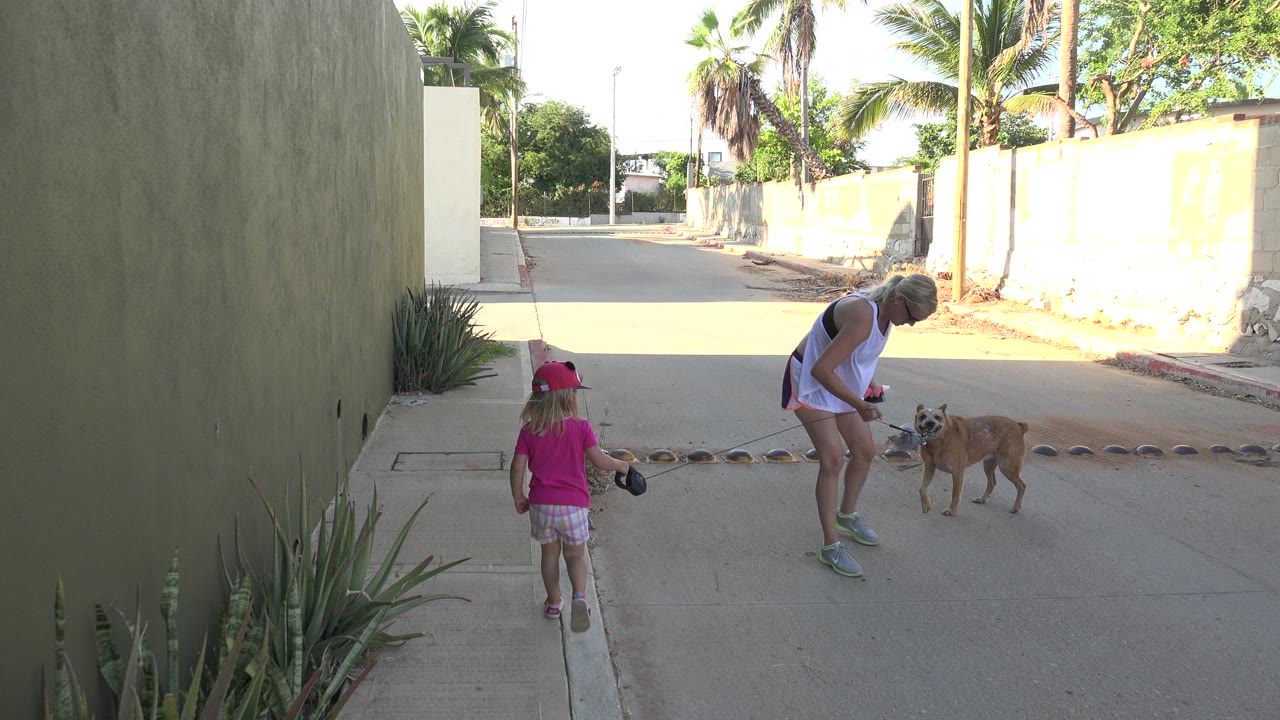 Child approaches a woman and dog on a sunny residential street.