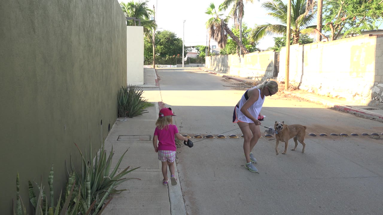 In Grand Junction, Colorado, the adult woman bends toward the brown dog as the child watches from the sidewalk edge beside the shaded wall.
