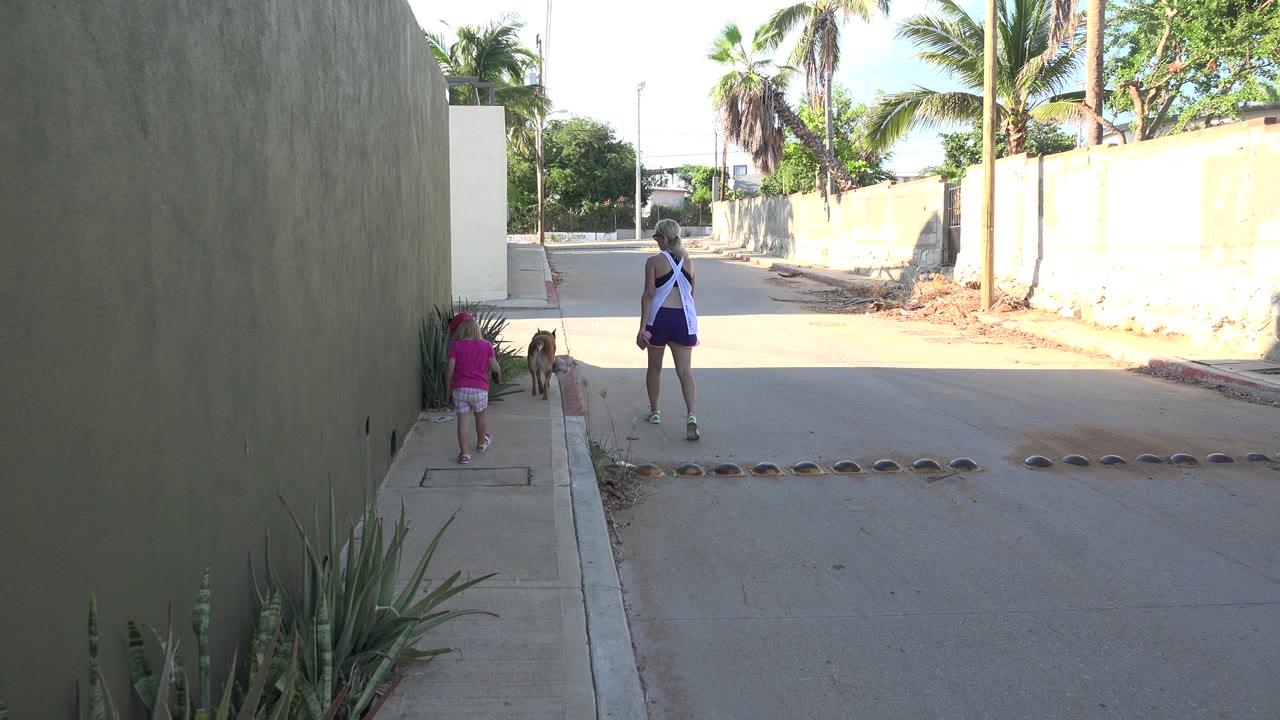 One second in, the woman remains near the street edge in Grand Junction as the child and dog advance along the shaded footpath beside the wall.