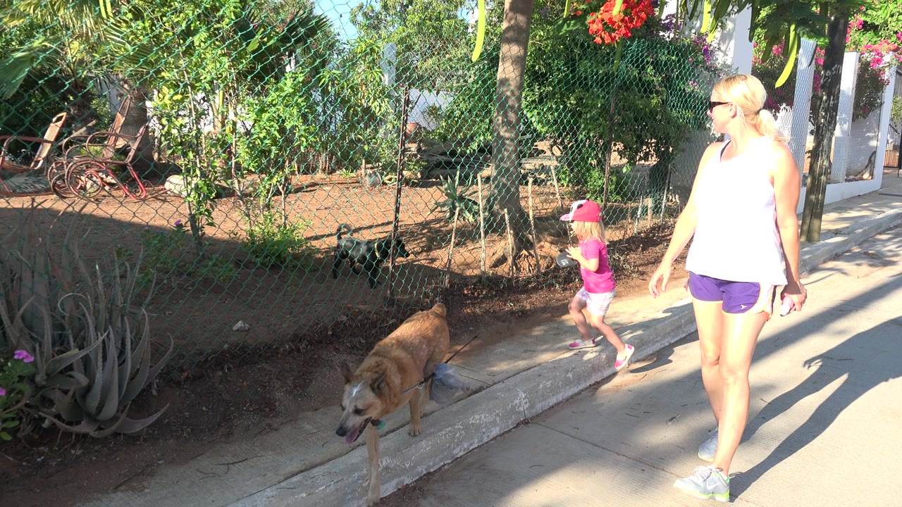 Woman and child walking past a fenced zoo area with a dog nearby.