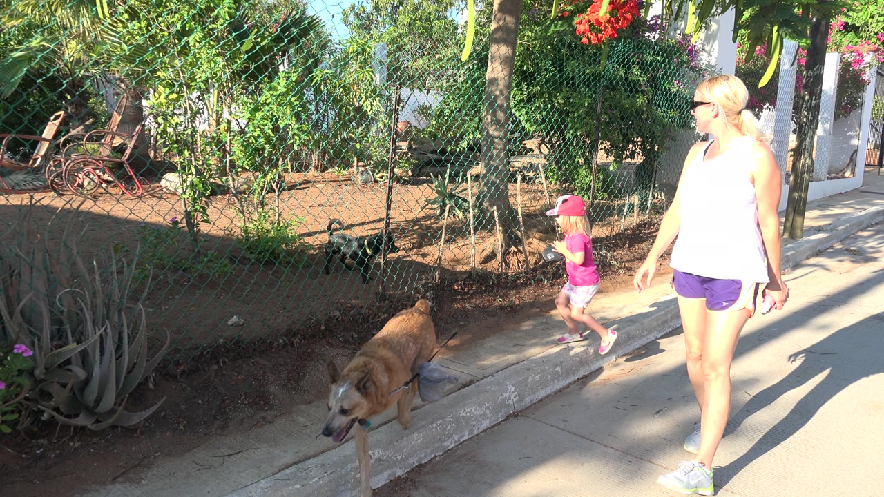 The young girl in a pink panda hat moves ahead on the sidewalk while the woman follows near the curb, with the fenced zoo planting area and a dog still visible to the left in Grand Junction, Colorado.