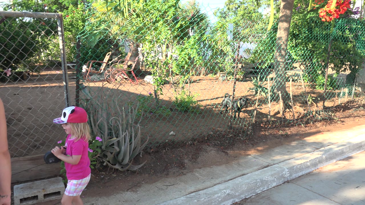Girl in pink cap walking beside a chain-link fence and garden plants.