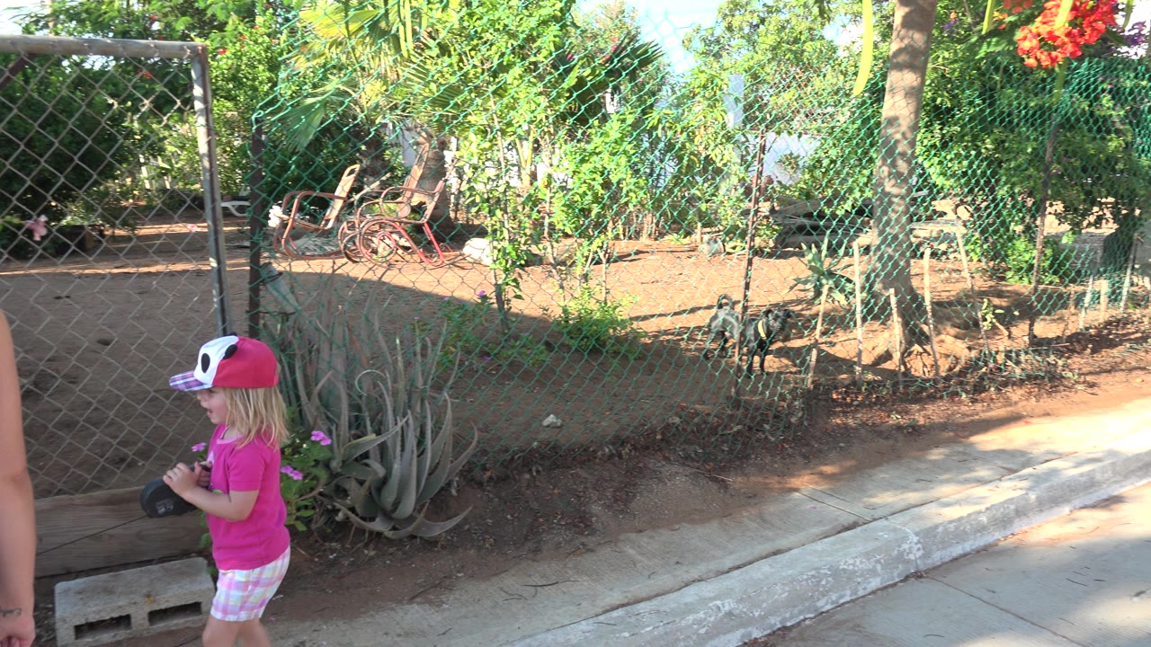 The girl continues past the same Grand Junction fence line, with a bicycle, tree trunk, dry soil, and sunlit greenery visible behind her.