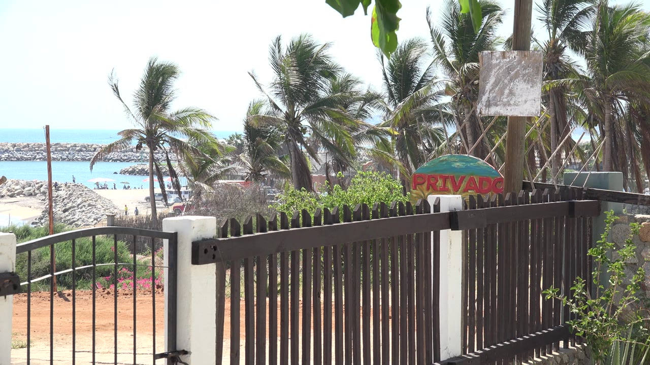 Private sign and palms above a brown fence near water