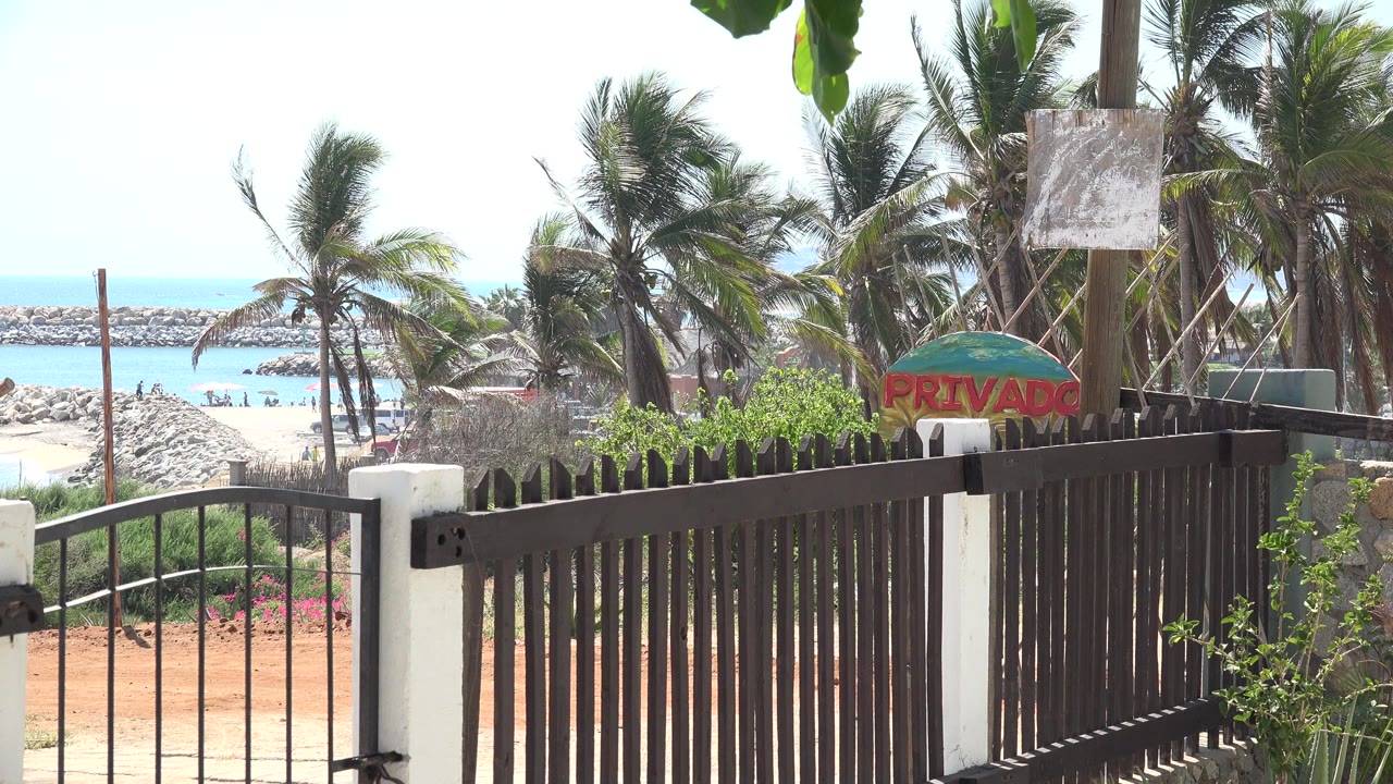 Fence and palm trees overlooking a bright beach and water