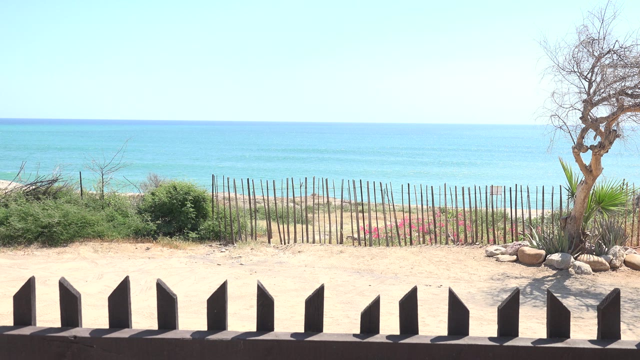 Opening frame of the Grand Junction, Colorado clip showing turquoise ocean, pale sky, sandy ground, beach fencing, shrubs, pink flowers, a leafless tree at right, and no visible people.