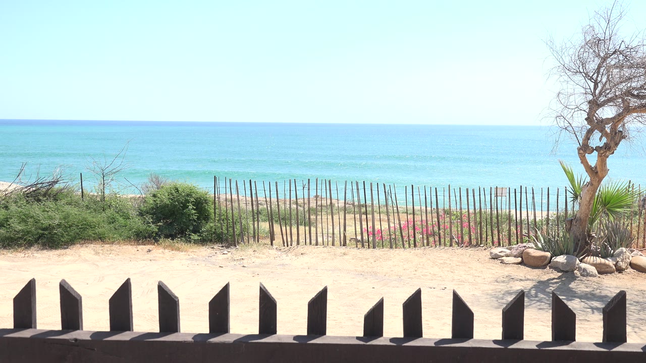 Sunny beach view with sand, fence posts, shrubs, a bare tree, blue water, and sky.