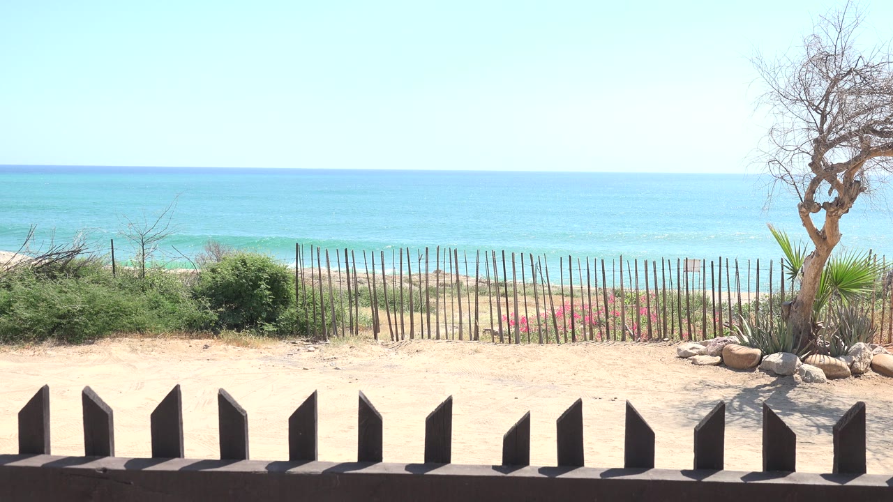 Sunny beach view with fence posts, shrubs, sea, blue sky, rocks, and a bare tree.