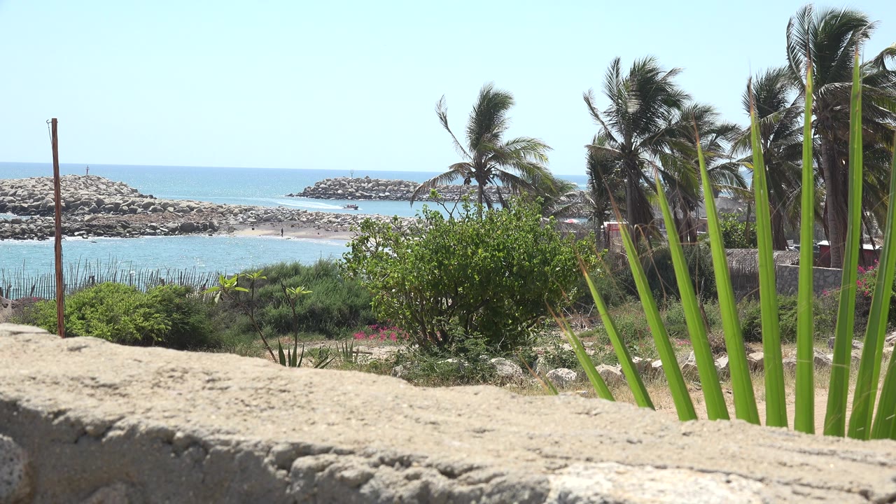 Opening frame of a Grand Junction, Colorado outdoor waterside view with palm-like leaves at right, shrubs in the middle, rock breakwaters beyond the beach, and no visible people.