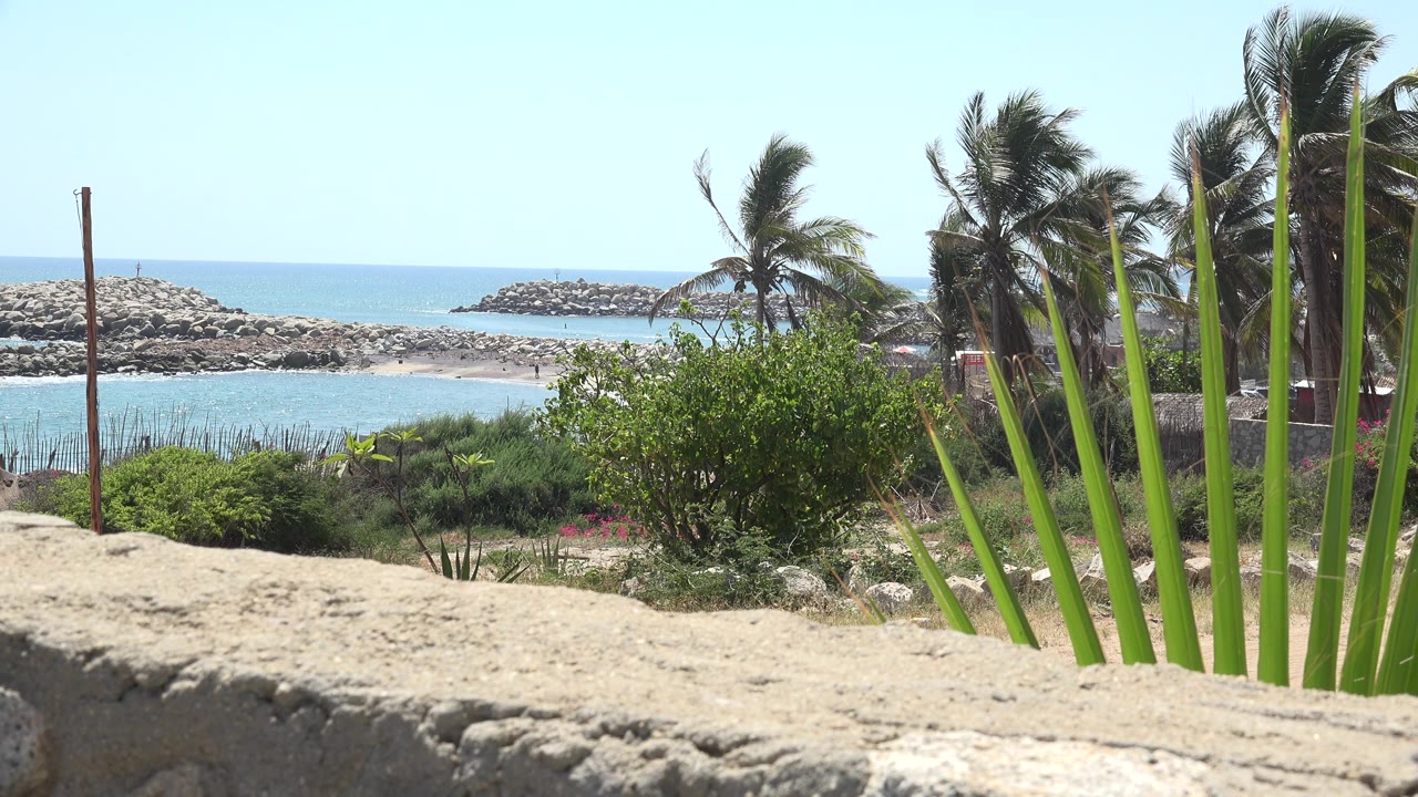 Opening frame of the Grand Junction, Colorado clip showing a sandy foreground ledge, tall green fronds, palms, blue water, a rocky breakwater, pale sky, and no visible people.