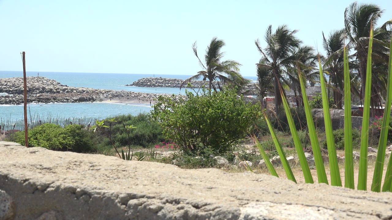 At 0:01, the Grand Junction Colorado clip holds on bright blue water beyond green shrubs, with a pale wall in front, wind-shaped palm fronds on the right, rock barriers in the distance, and no visible people.