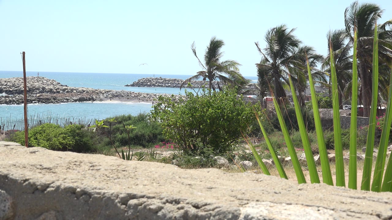 Windy coastal greenery with blue water and rocky breakwaters