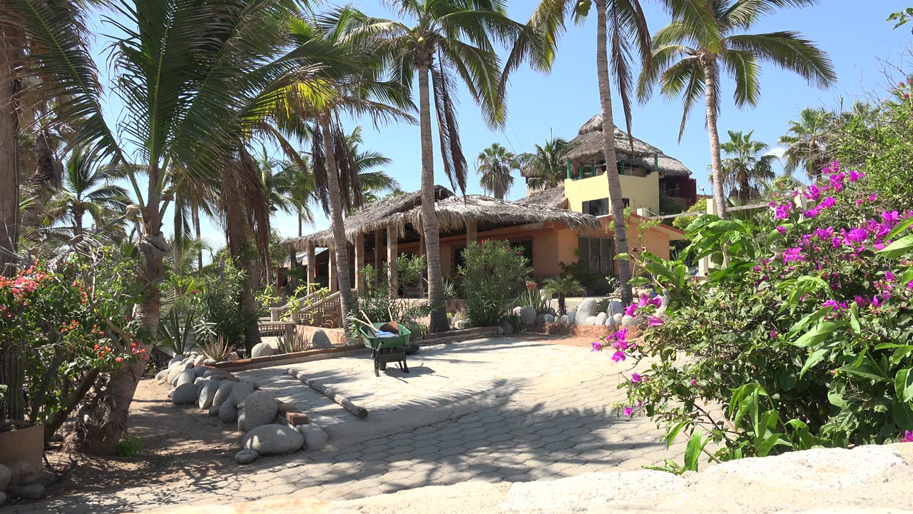 Wide view of a tan house in Grand Junction, Colorado with palm trunks, stone edging, a paved patio, magenta flowers, and a small seated person visible near the center-left.