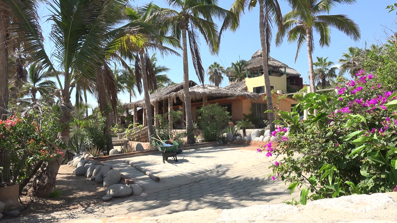 Palm-lined garden path leading to a thatched-roof hut with pink flowers.