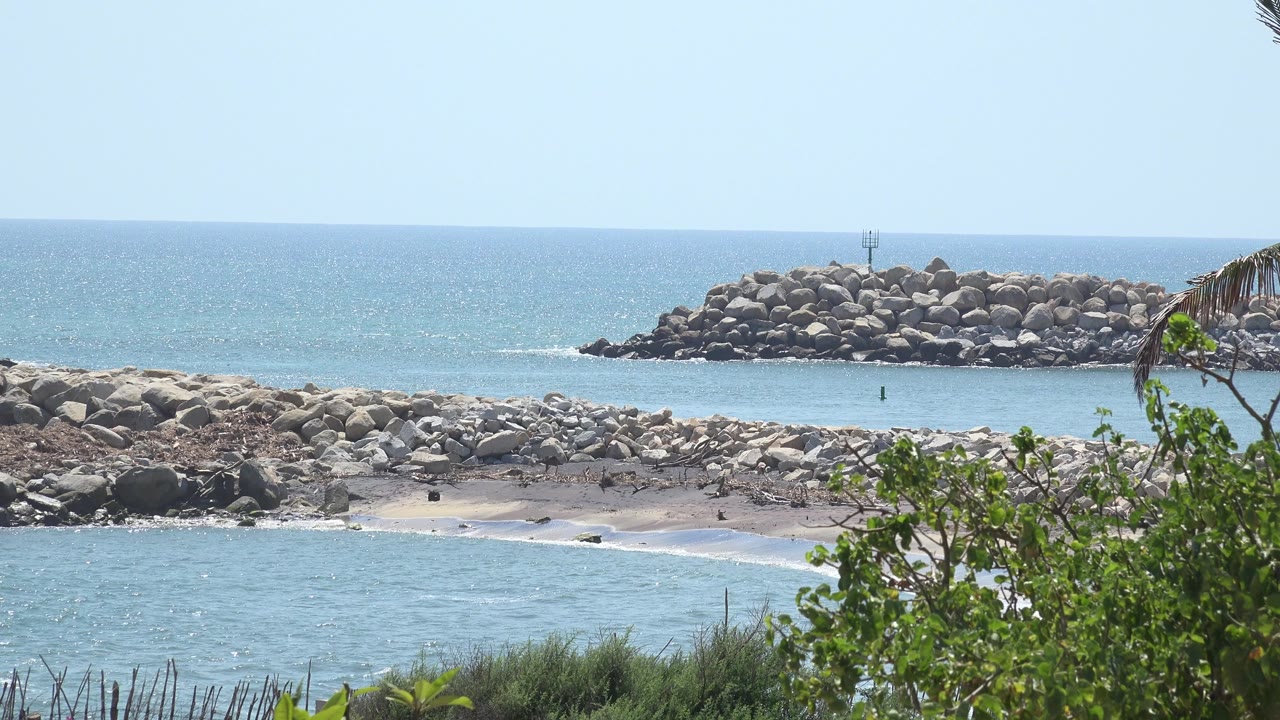 Rocky shoreline with blue water, shrubs, and a distant breakwater.