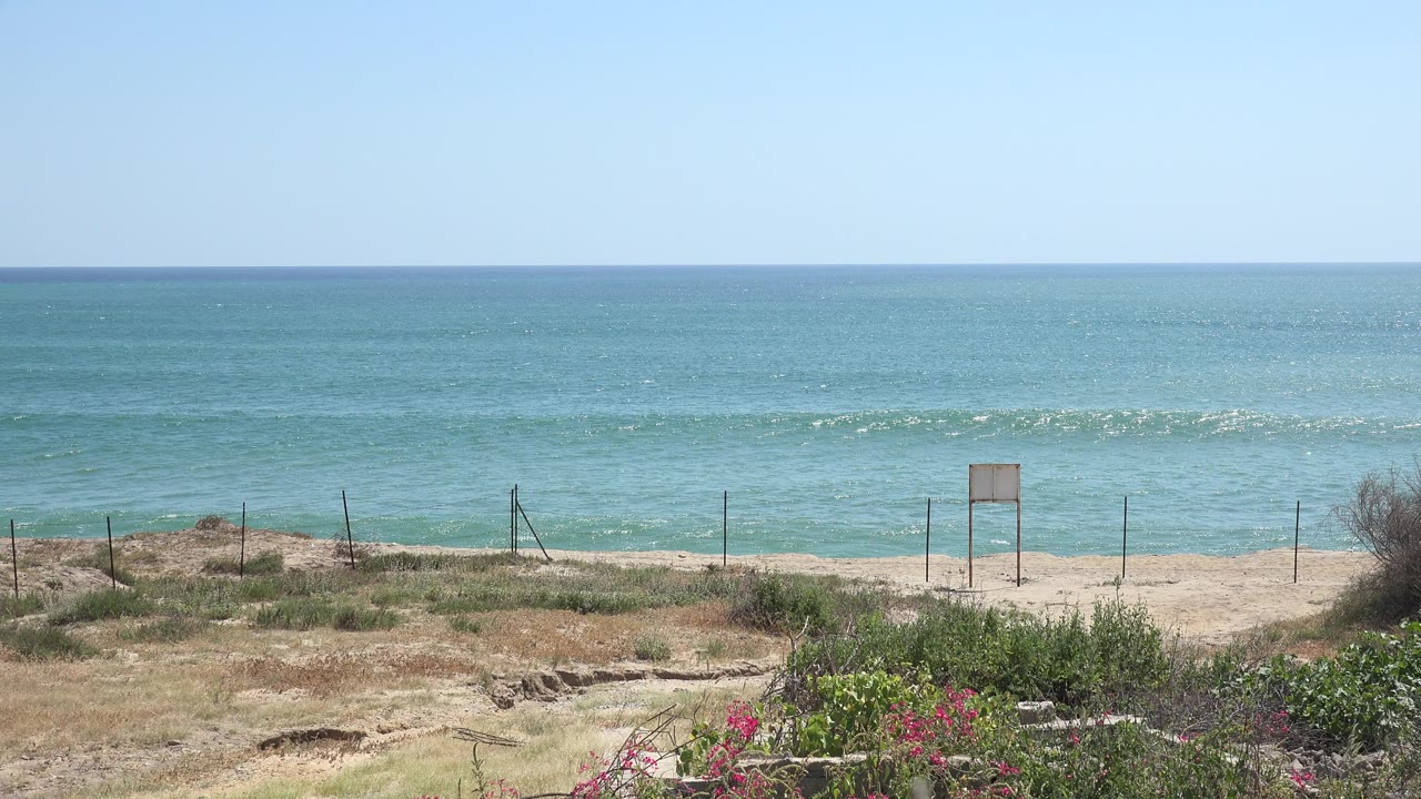 Blue sea beyond dry beach grass and a wire fence.