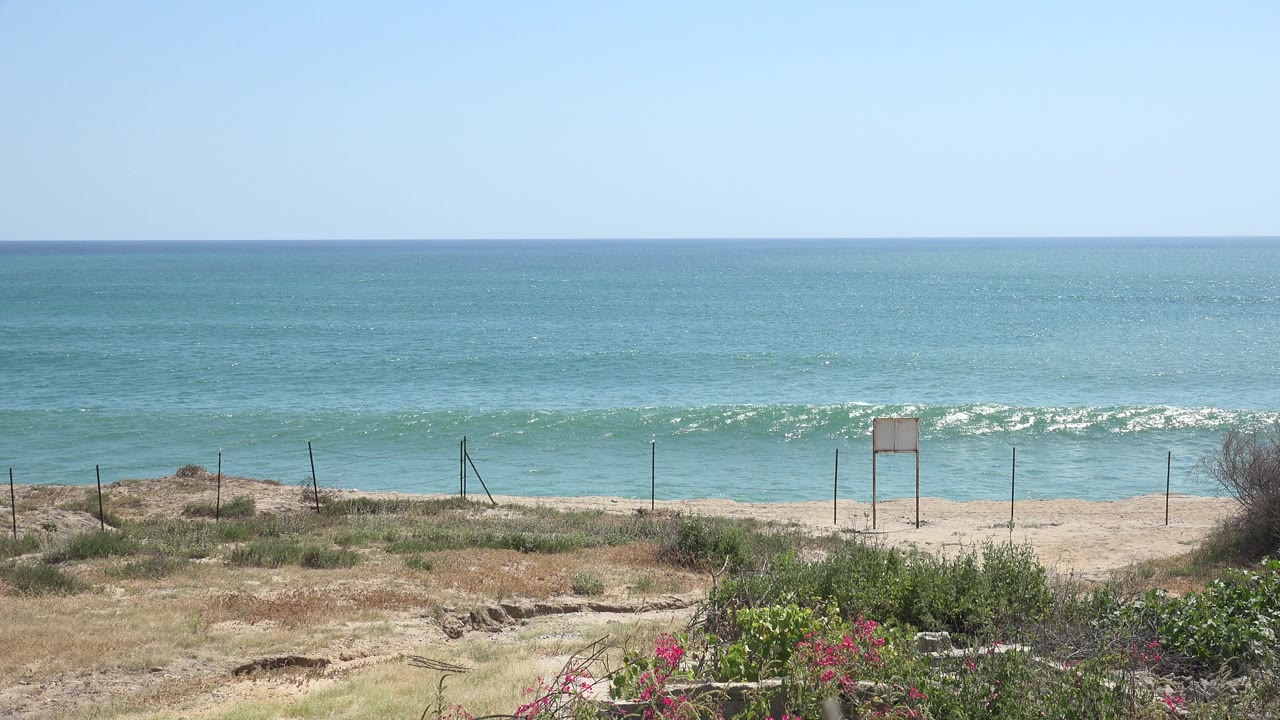 Wide beach view with ocean waves, fence posts, sand, and foreground plants.