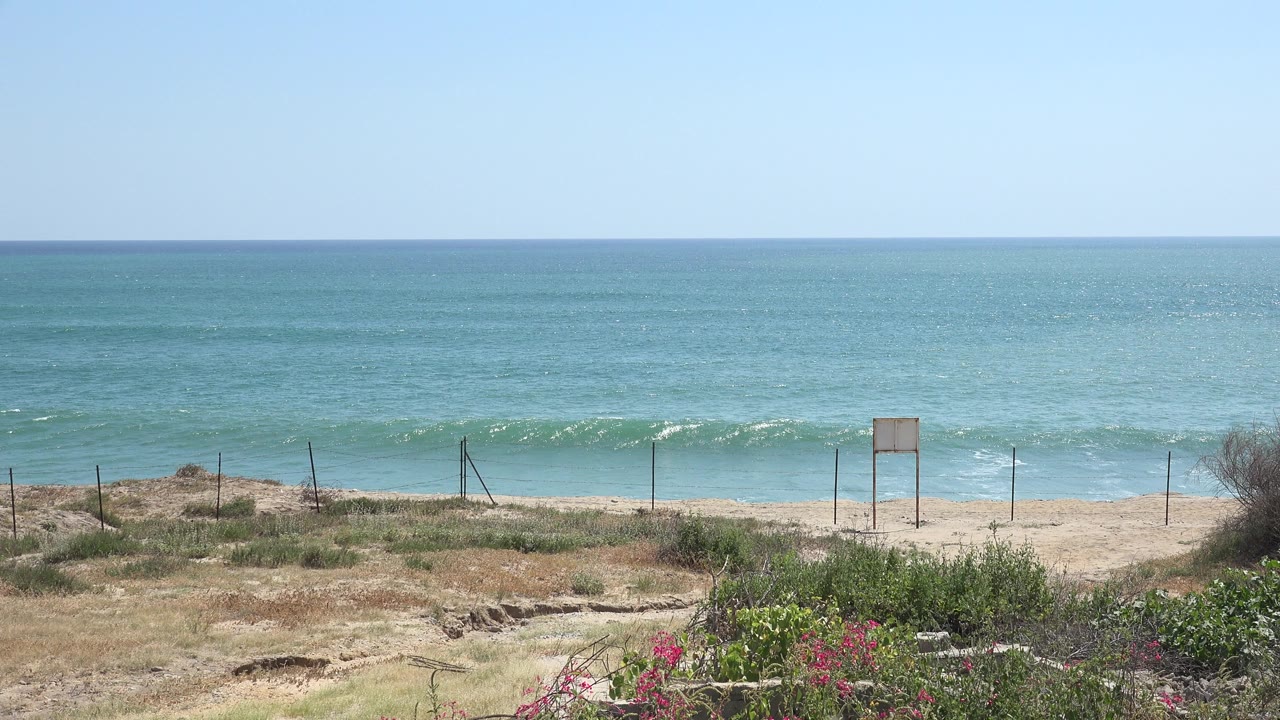 At 0:01, the Grand Junction Colorado 2017 clip holds on the ocean horizon as a small wave forms behind the fence and dry shoreline plants, with no visible people.