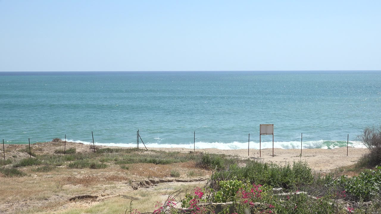 Wide blue sea with low waves, fence posts, sand, and flowering shrubs.
