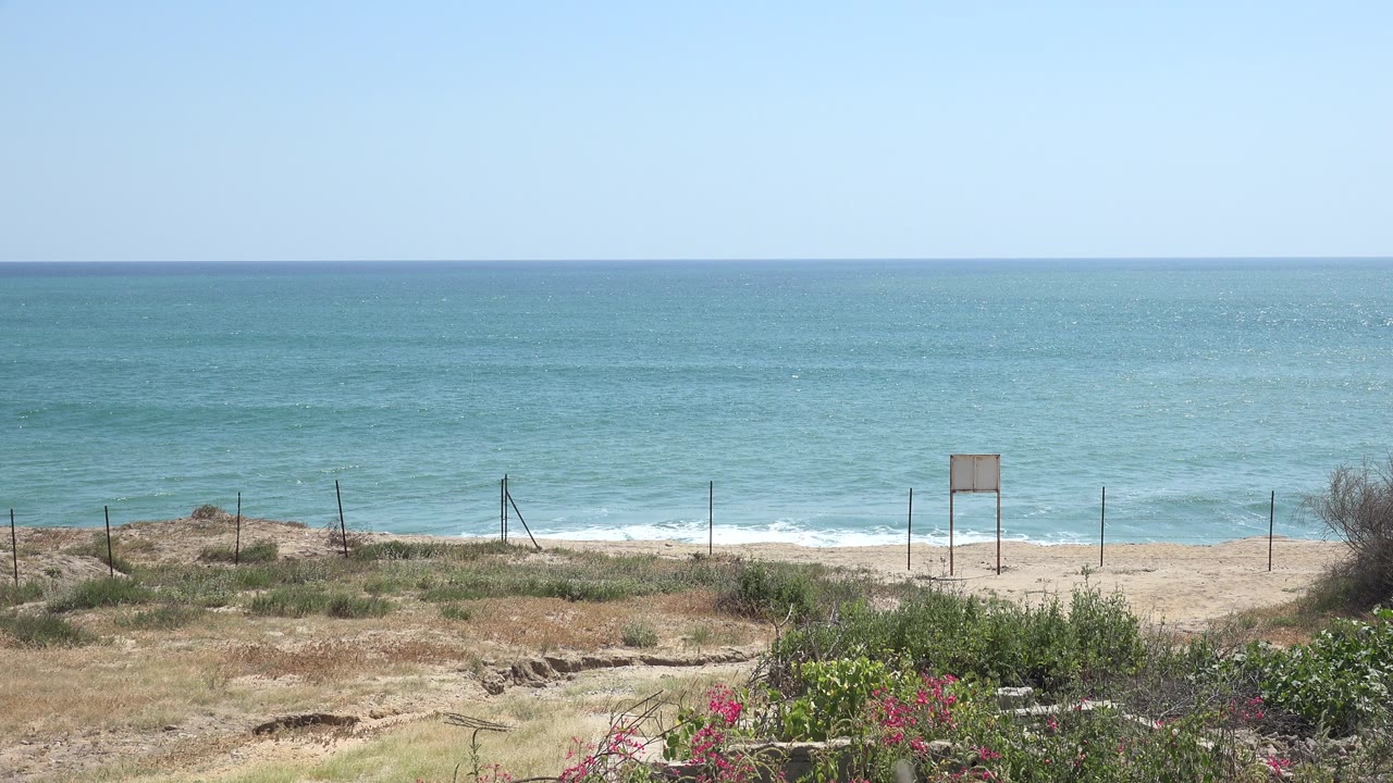 Opening frame of the Grand Junction, Colorado clip showing blue water beyond a sandy fenced beach, dry grasses, pink foreground flowers, and no visible people.