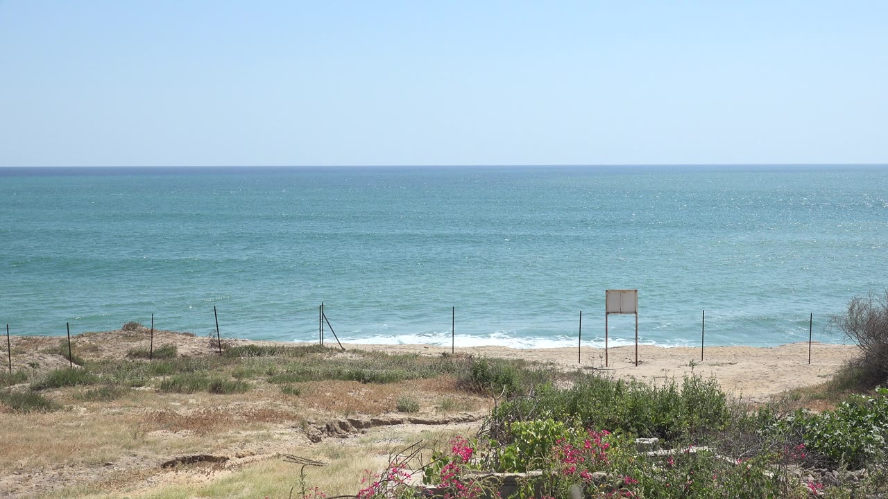 At 0:01, the Grand Junction, Colorado beach view holds on the level horizon, turquoise-blue water, fenced sand, foreground shrubs, pink blooms, and no visible people.