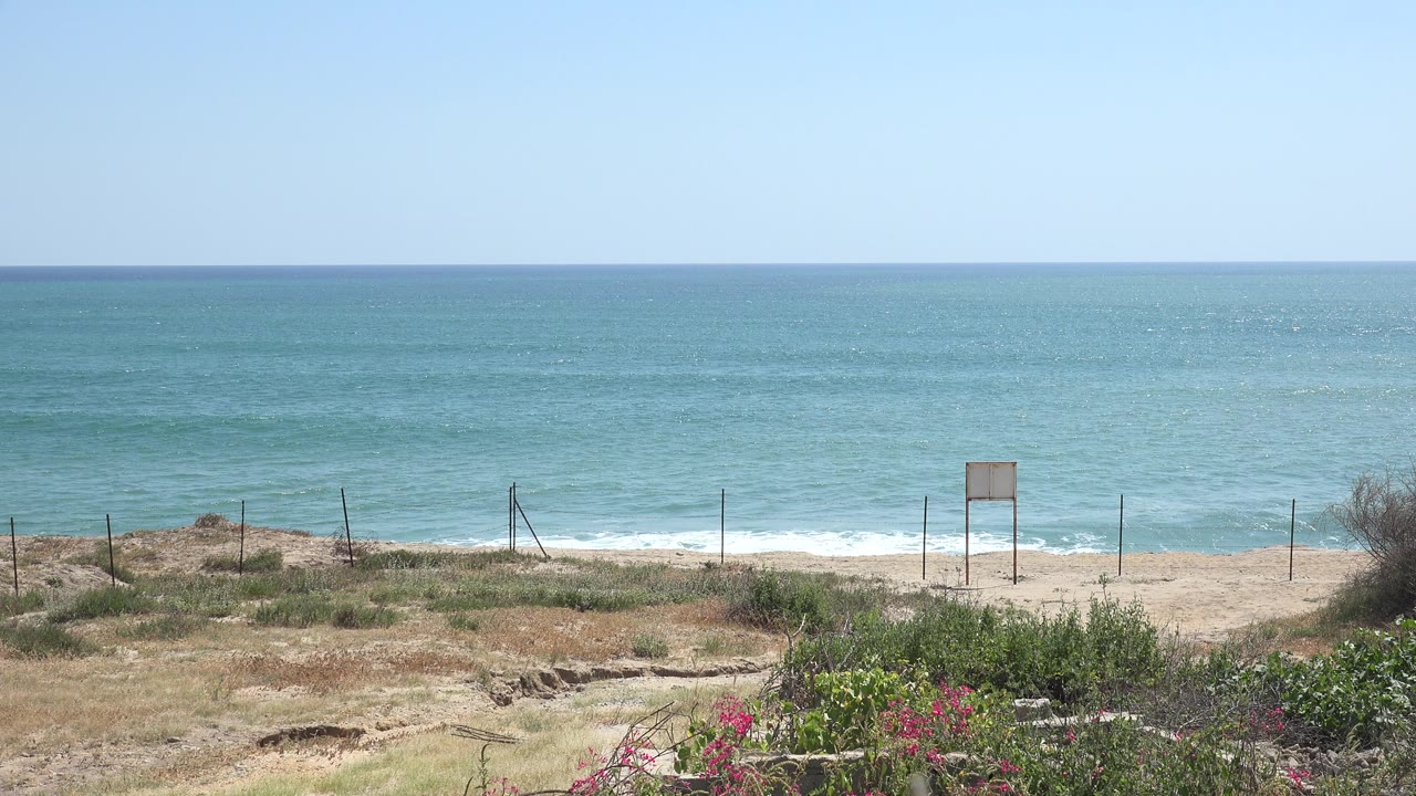 Sunny shoreline with blue water, beach fence, sign frame, shrubs, and flowers.