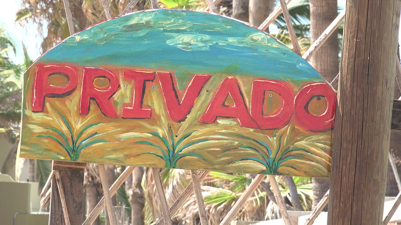 At 0:01, the red “PRIVADO” lettering remains centered on the painted sign, with sunlit palm trunks and wood supports visible behind it and no visible people.