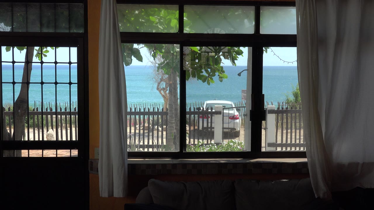 At 0:01, the window grid and hanging curtains remain in the foreground while the bright blue ocean, leafy branches, fence line, and white car outside stay visible, with no visible people.
