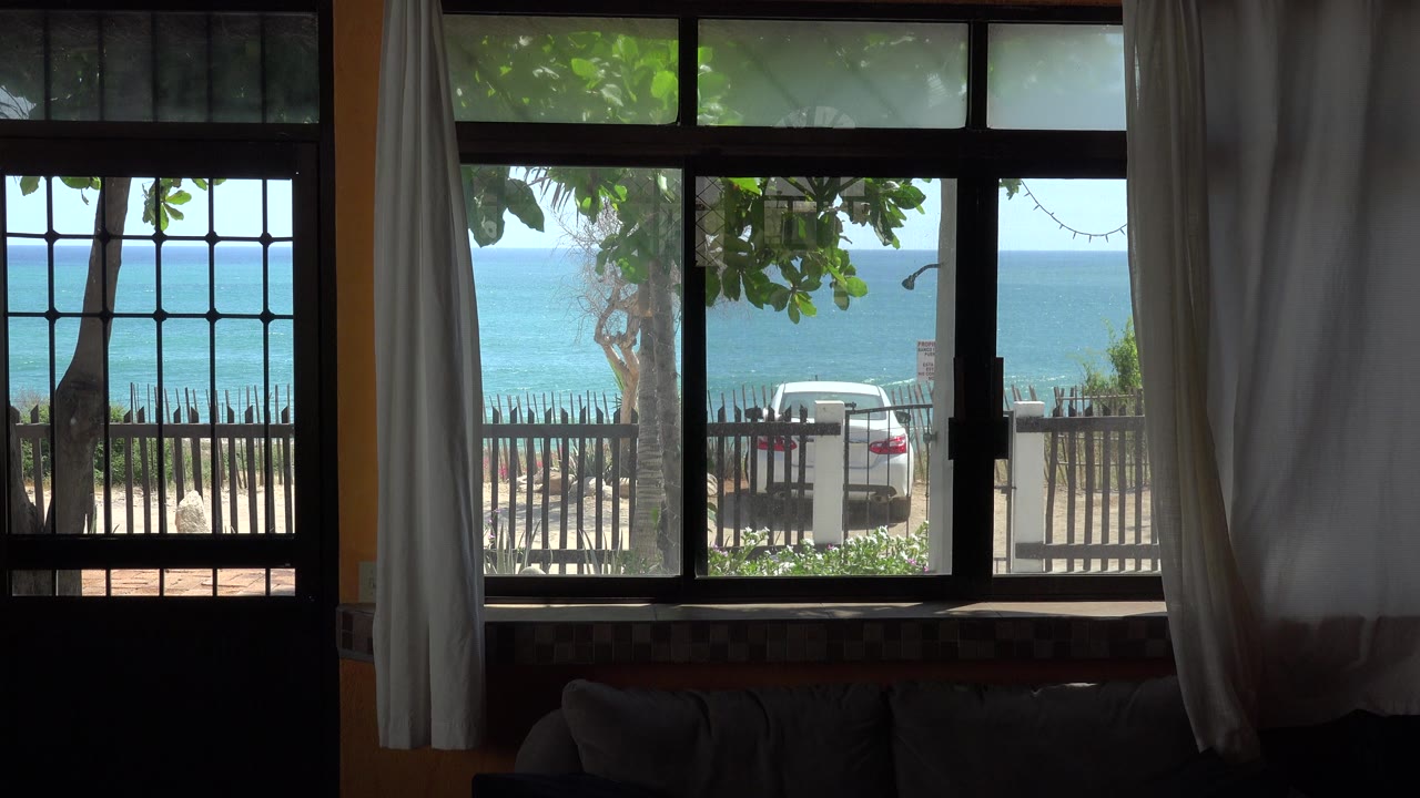 Grand Junction, Colorado frame with the white car centered outside the window, vertical fence posts below it, leafy branches above, and no visible people in the room or outside.