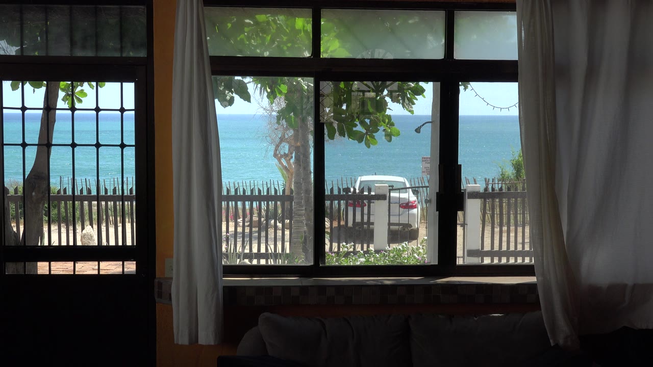 Window view from a dark room toward blue water, trees, fence, curtains, and a parked white car.