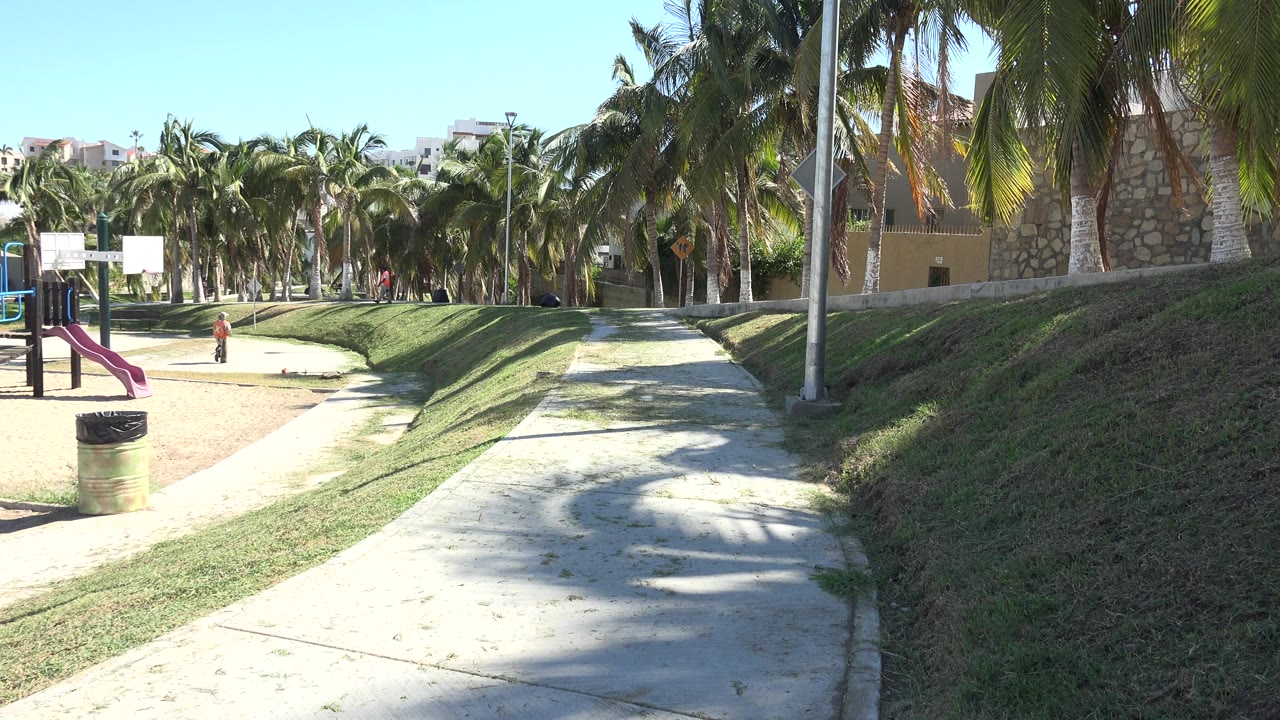 Sunlit sidewalk beside a playground and palm trees with a small child in the distance.