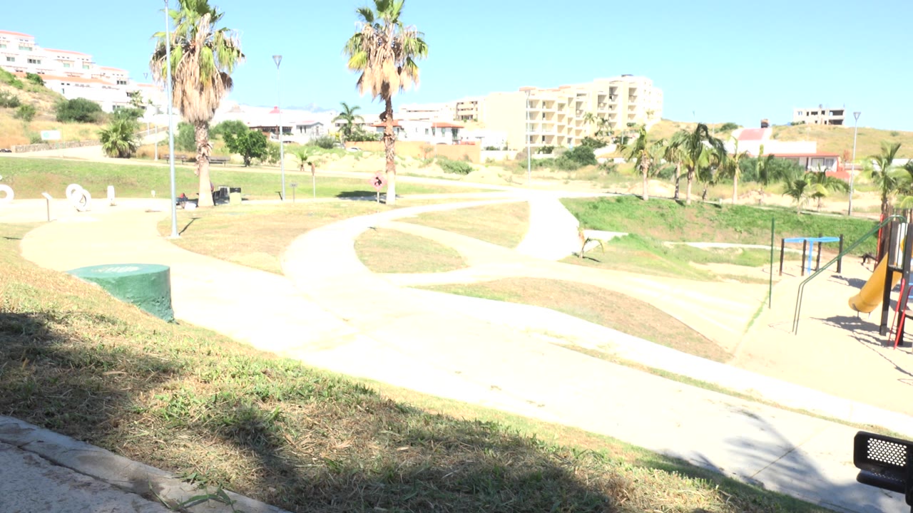 Sunny playground park with paths, benches, palm trees, and no visible people.