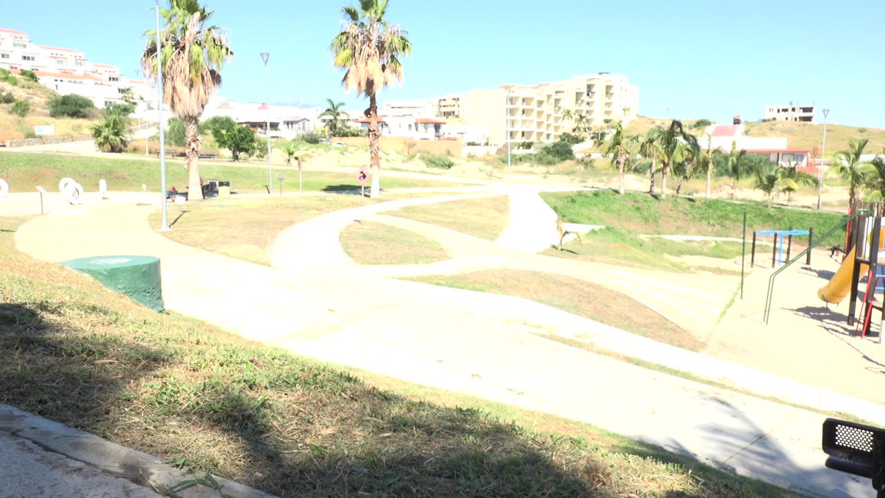 Bright wide park view in Grand Junction, Colorado showing the playground at right, curving concrete paths, palm trees, benches, grass, and no visible people in this frame.