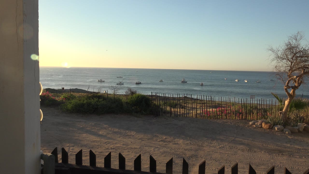 Low sun over water with boats, fence, dirt foreground, shrubs, and tree.
