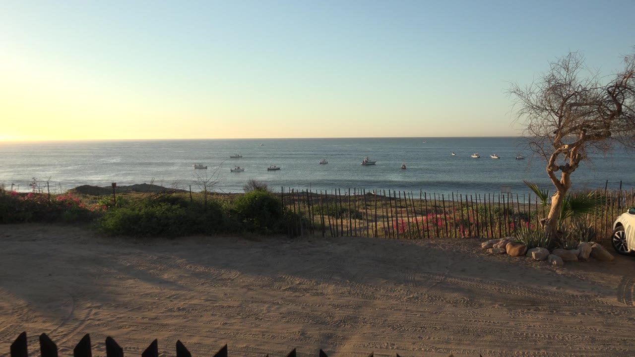 Sunset sea view with sand, fence, tree, shrubs, and distant boats.