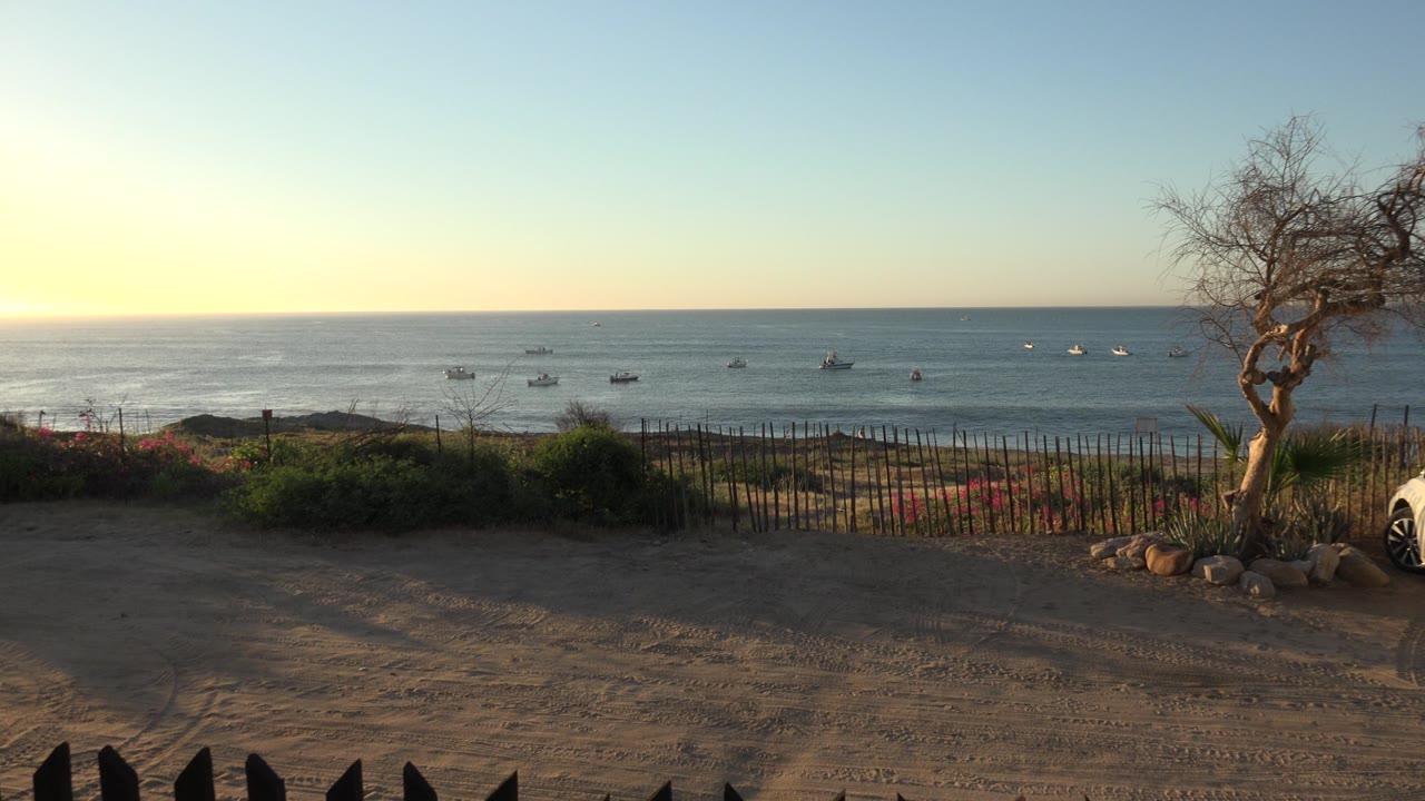 Warm sunset over calm water with fence, shrubs, tree, and distant boats.