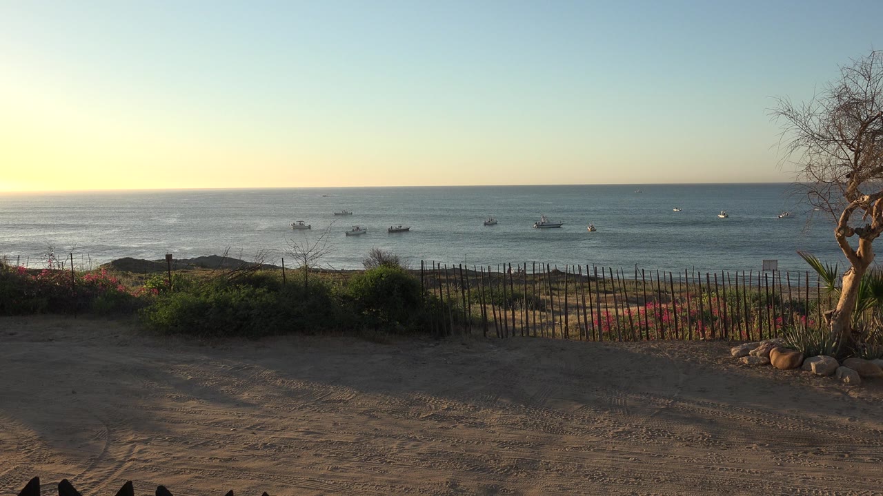 Grand Junction Colorado seaside view with a dirt foreground, low fence, shrubs, small boats offshore, a tree on the right edge, and no visible people.
