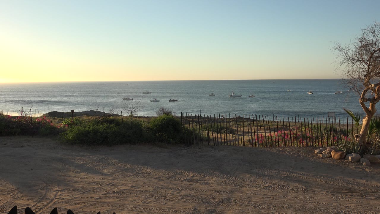 Sandy overlook with tree, fence, waves, and distant boats at sunset.